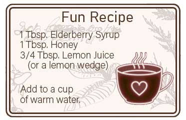 Elderberry Syrup