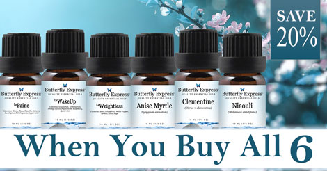 6 Oil Monthly Special