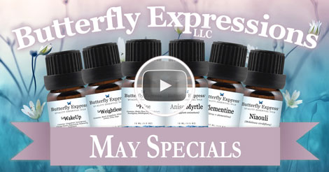 6 Oil Monthly Special Video