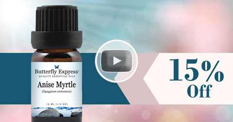 Anise Myrtle Essential Oil
