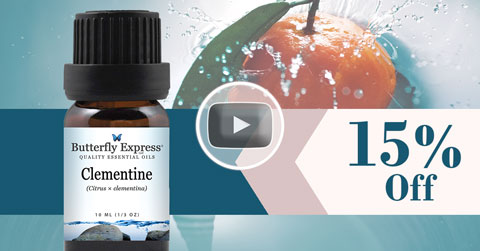 Clementine Essential Oil