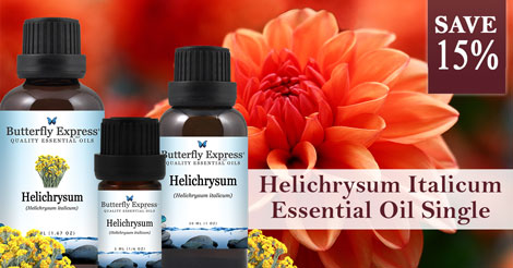 Save 15% on Helichrysum Italicum