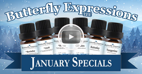 6 Oil Monthly Special Video