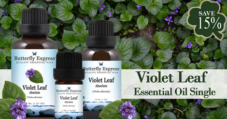 Save 15% on Violet Leaf
