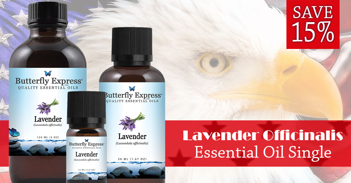 Save 15% on Lavender Officinalis