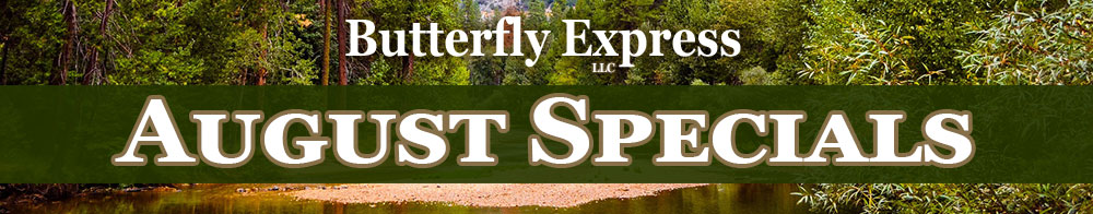 Butterfly Express Newsletter