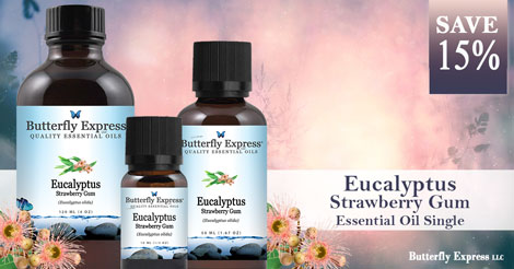 Save 15% on Eucalyptus Strawberry Gum