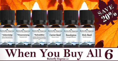 6 Oil Monthly Special