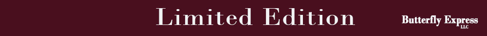 Save 15% on November Oils