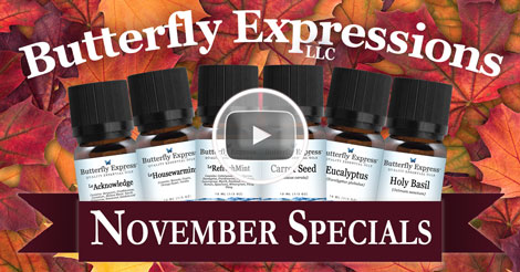 6 Oil Monthly Special Video