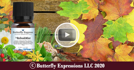RefreshMint Essential Oil Blend