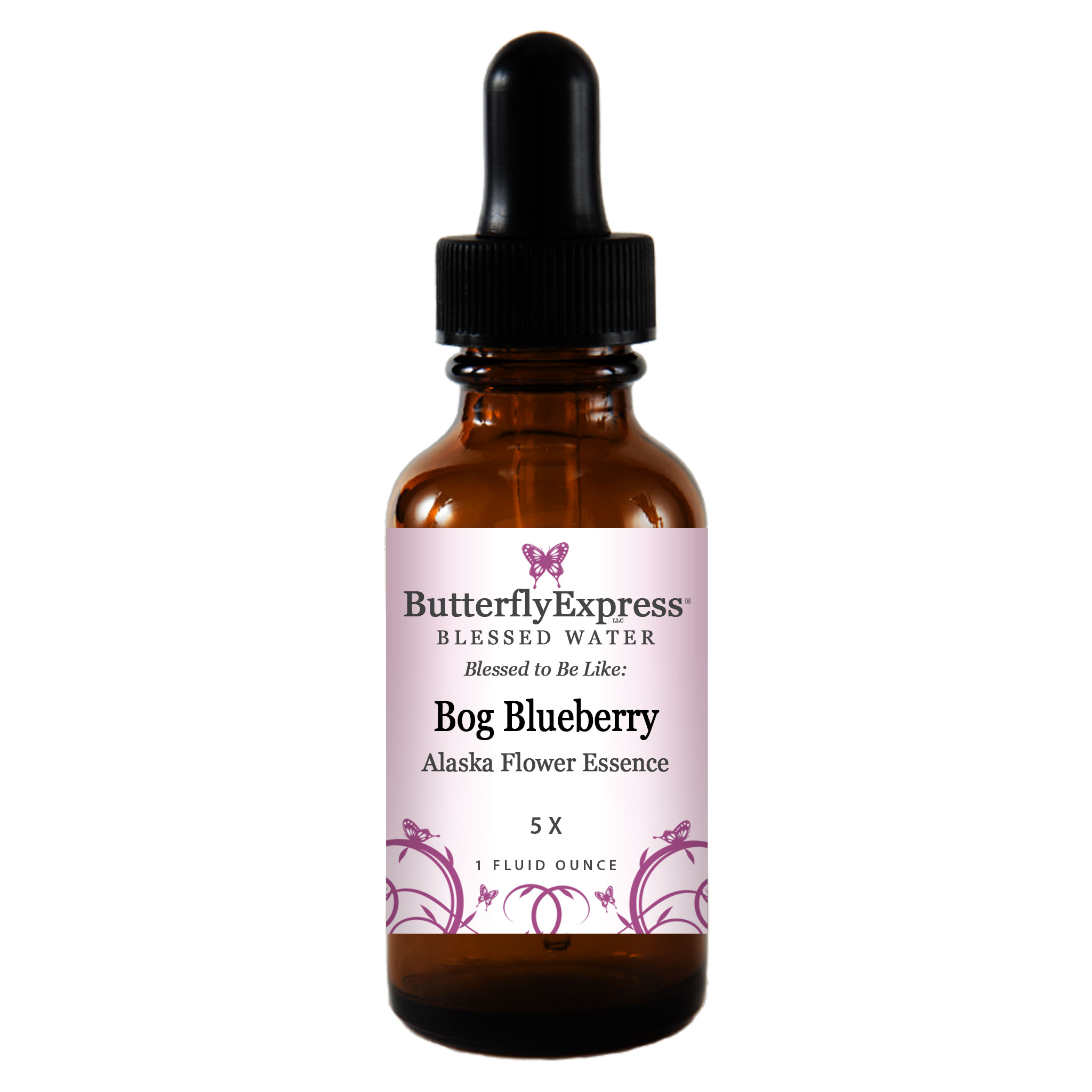 Bog Blueberry