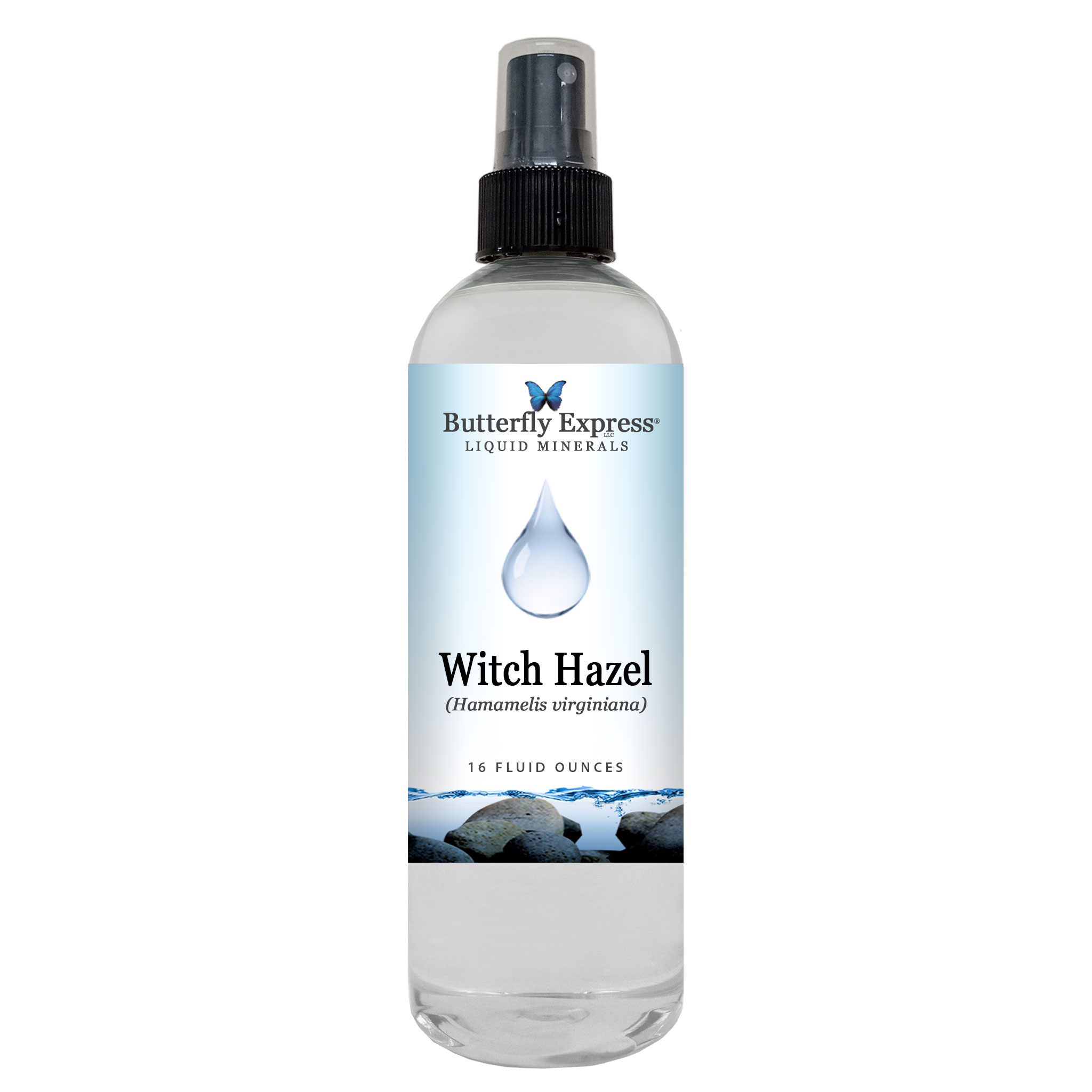 Witch Hazel