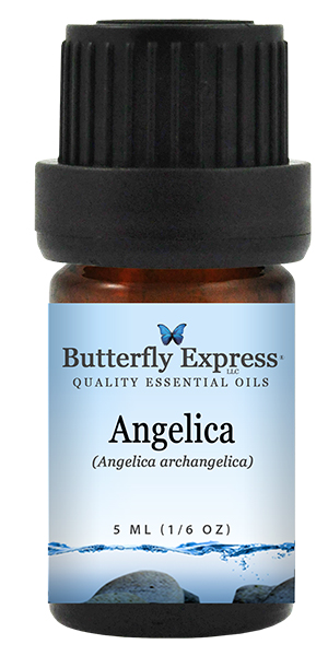 Angelica