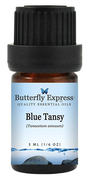 Blue Tansy