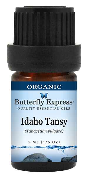 Idaho Tansy Organic