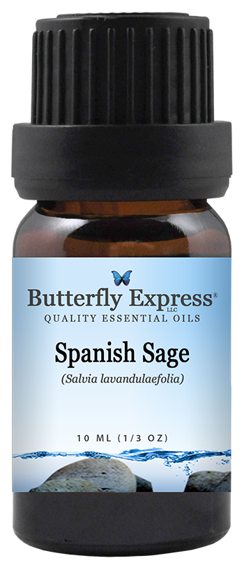Spanish Sage