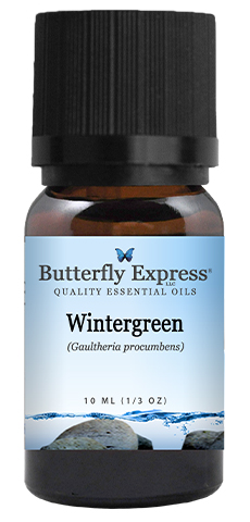 Wintergreen