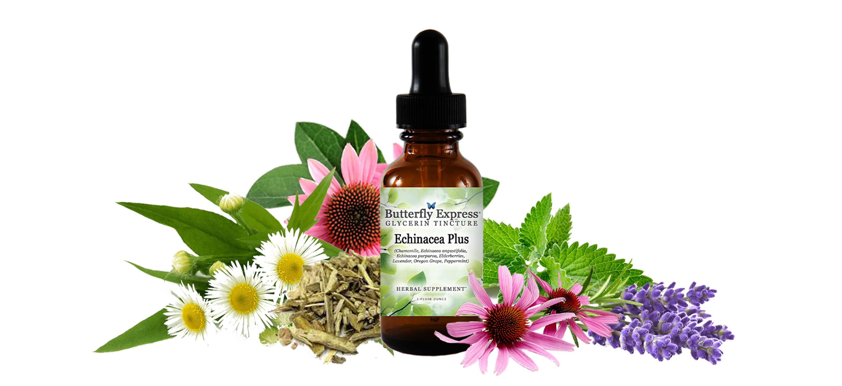 Echinacea Plus