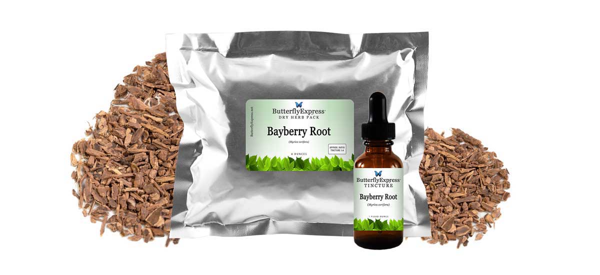 Bayberry Root