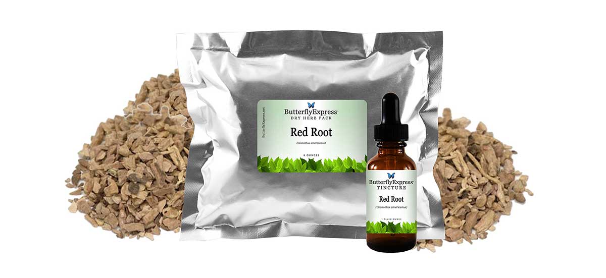 Red Root