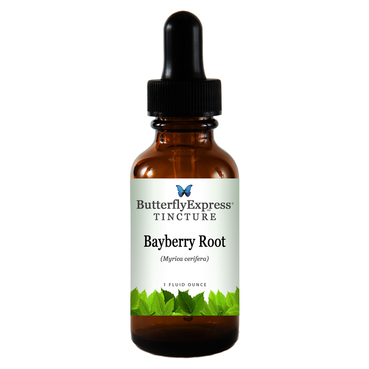 Bayberry Root Tincture
